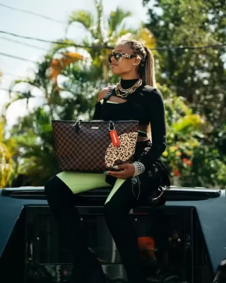 A.i.3 EL BOLSO LEGADO