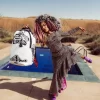 A.I.8 INTELIGENCIA AFRICANA – MOCHILA DE LA HISTORIA DE ORIGEN (DLXV) A.I.8 INTELIGENCIA AFRICANA – MOCHILA DE LA HISTORIA DE ORIGEN (DLXV)