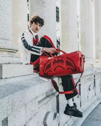 BOLSA DE VIAJE CON ESTAMPADO DE DINERO