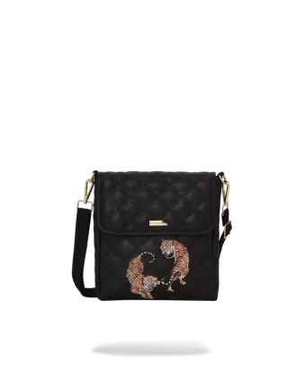 BOLSO BANDOLERA DE MENSAJERO PARA DIVISAS
