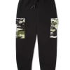 CAMUFLAJE DE DINERO CAMUFLAJE DE DINERO