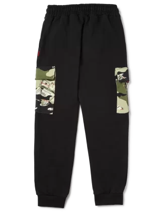 CAMUFLAJE DE DINERO
