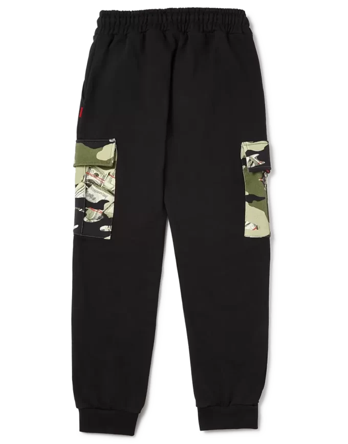 CAMUFLAJE DE DINERO CAMUFLAJE DE DINERO