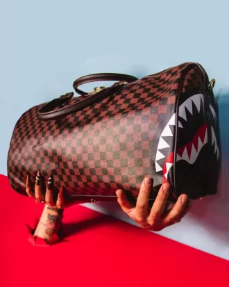 DIVIDIR EL BOLSO DE VIAJE