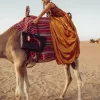 EL BOLSO DECODIFICADOR EL BOLSO DECODIFICADOR