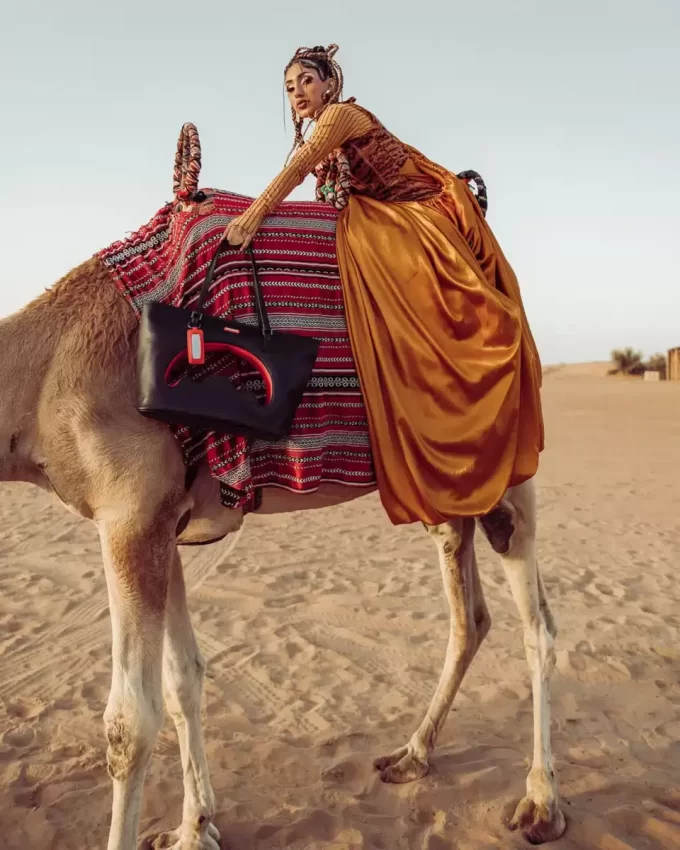 EL BOLSO DECODIFICADOR EL BOLSO DECODIFICADOR