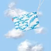 EMBRAGUE DE CRUCE SKYBORNE