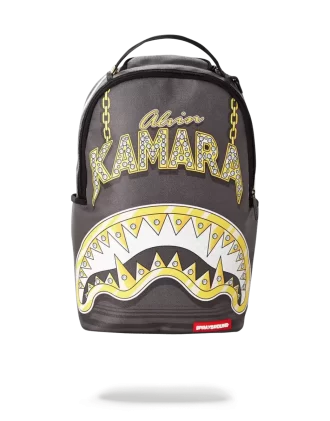 KAMARA HACIA EL FUTURO
