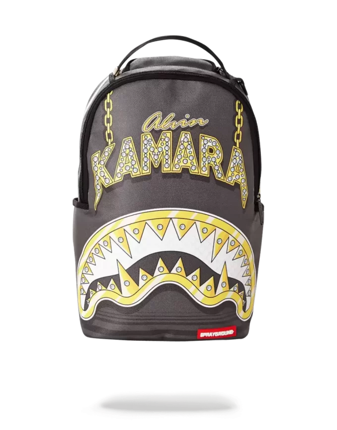 KAMARA HACIA EL FUTURO