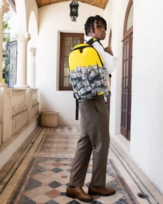 LA MOCHILA DEL EMPRENDEDOR (DLXV)