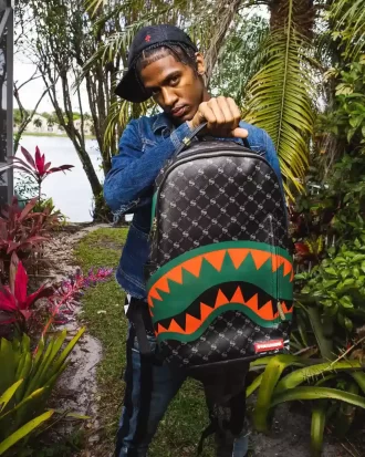 LA MOCHILA DEL PADRINO (DLXV)