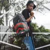 LA MOCHILA DEL PADRINO (DLXV) LA MOCHILA DEL PADRINO (DLXV)