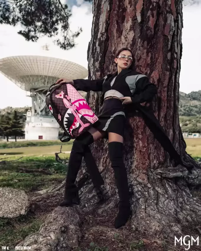 LA PANTERA ROSA: LA MOCHILA REVELADA (DLXV) LA PANTERA ROSA: LA MOCHILA REVELADA (DLXV)