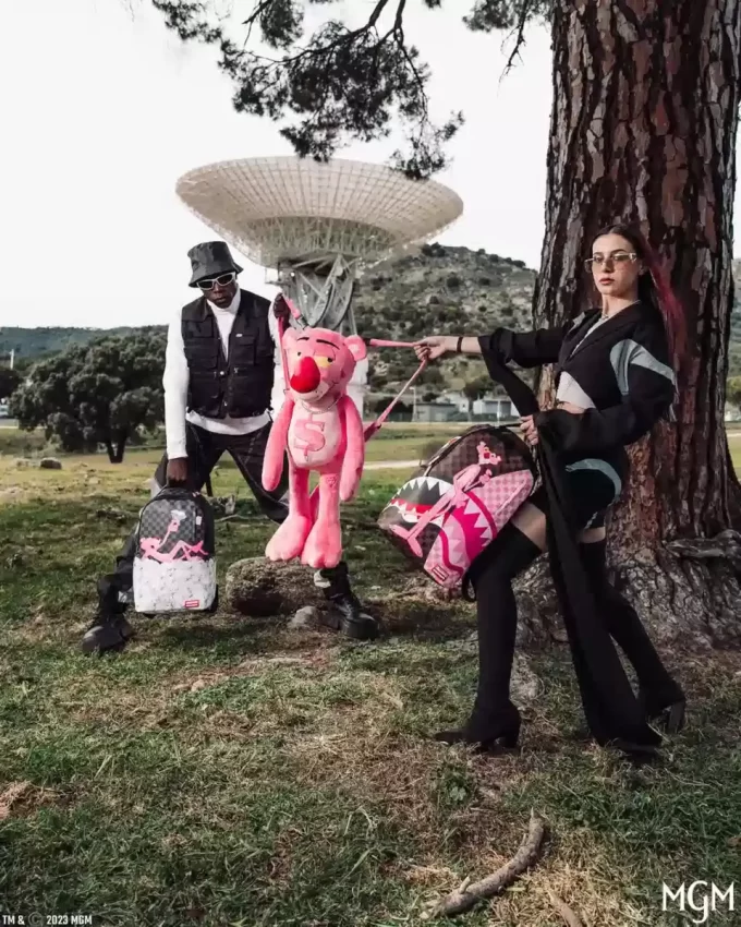 LA PANTERA ROSA: LA MOCHILA REVELADA (DLXV) LA PANTERA ROSA: LA MOCHILA REVELADA (DLXV)