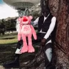 Mochila de osito de peluche de la Pantera Rosa: ¡Travesuras y travesuras!