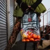 MOCHILA TRANSPARENTE – MONEY CHOMP MOCHILA TRANSPARENTE – MONEY CHOMP