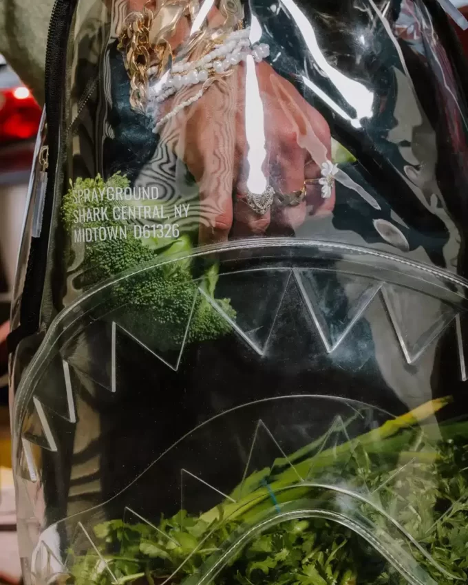 MOCHILA TRANSPARENTE – SHARK CENTRAL MOCHILA TRANSPARENTE – SHARK CENTRAL