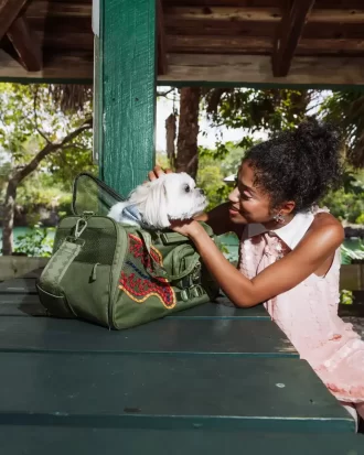 NO PARARÉ HASTA CONSEGUIR EL MEJOR TRANSPORTADOR DE MASCOTAS