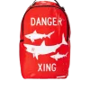 SHARK C-ING SHARK C-ING