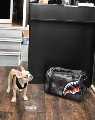 TRANSPORTADOR DE MASCOTAS 3 AM